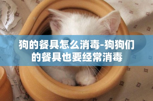 狗的餐具怎么消毒-狗狗們的餐具也要經常消毒