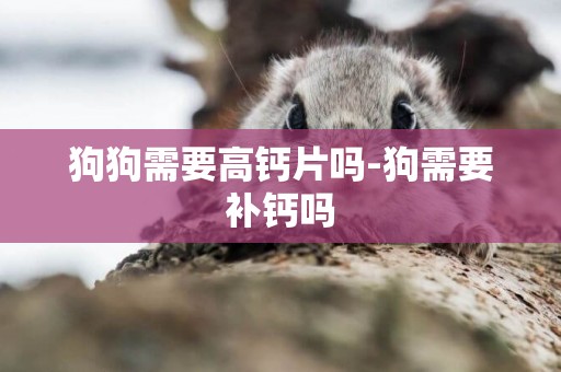 狗狗需要高鈣片嗎-狗需要補鈣嗎