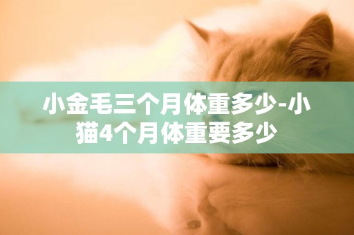小金毛三個月體重多少-小貓4個月體重要多少