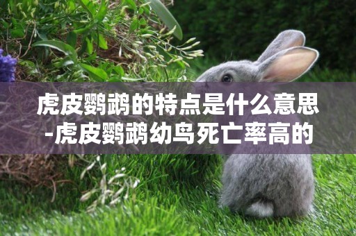 虎皮鸚鵡的特點是什么意思-虎皮鸚鵡幼鳥死亡率高的原因是什么