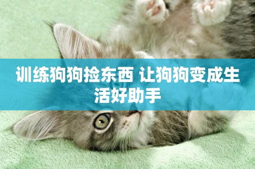 訓練狗狗撿東西 讓狗狗變成生活好助手