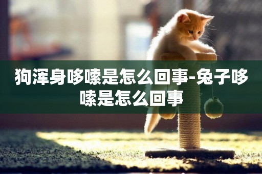 狗渾身哆嗦是怎么回事-兔子哆嗦是怎么回事