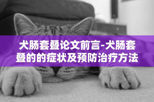 犬腸套疊論文前言-犬腸套疊的的癥狀及預防治療方法
