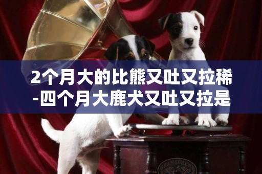 2個月大的比熊又吐又拉稀-四個月大鹿犬又吐又拉是怎么了