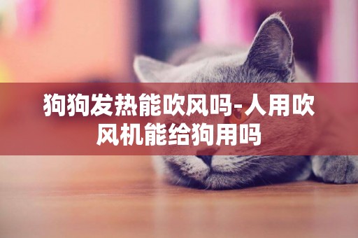 狗狗發熱能吹風嗎-人用吹風機能給狗用嗎