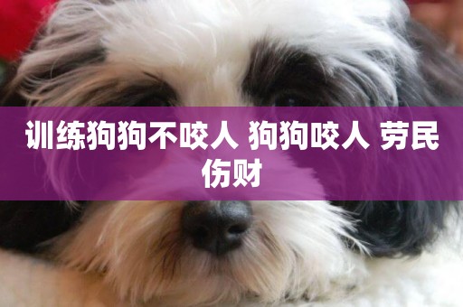 訓練狗狗不咬人 狗狗咬人 勞民傷財