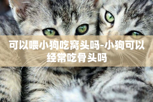 可以喂小狗吃窩頭嗎-小狗可以經常吃骨頭嗎