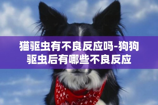 貓驅蟲有不良反應嗎-狗狗驅蟲后有哪些不良反應
