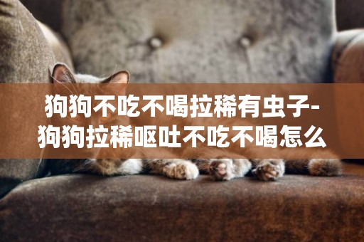 狗狗不吃不喝拉稀有蟲子-狗狗拉稀嘔吐不吃不喝怎么辦