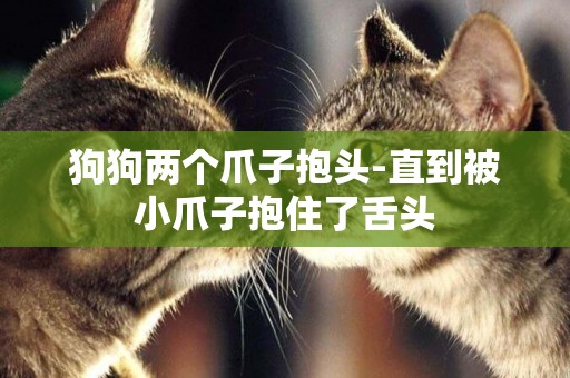 狗狗兩個爪子抱頭-直到被小爪子抱住了舌頭
