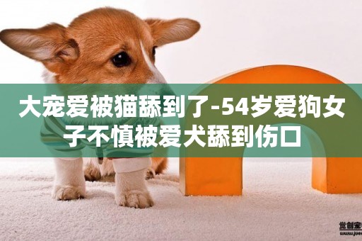大寵愛被貓舔到了-54歲愛狗女子不慎被愛犬舔到傷口
