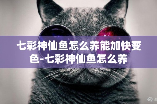 七彩神仙魚怎么養能加快變色-七彩神仙魚怎么養