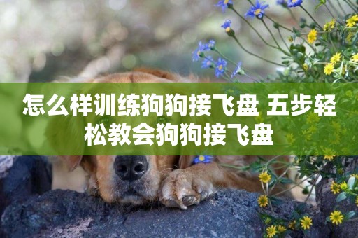 怎么樣訓練狗狗接飛盤 五步輕松教會狗狗接飛盤