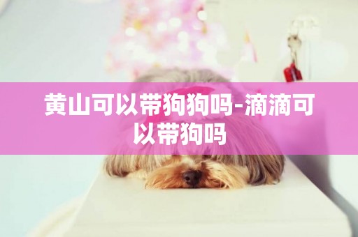 黃山可以帶狗狗嗎-滴滴可以帶狗嗎