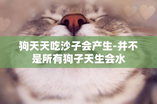 狗天天吃沙子會產生-并不是所有狗子天生會水