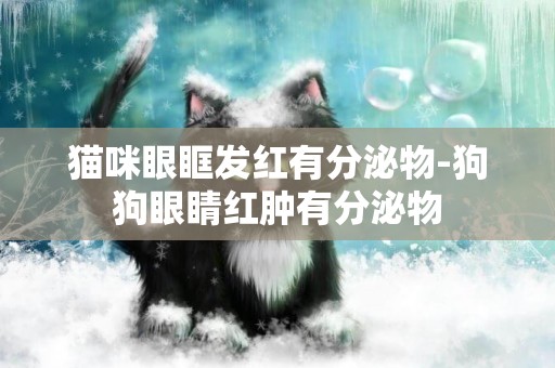 貓咪眼眶發紅有分泌物-狗狗眼睛紅腫有分泌物