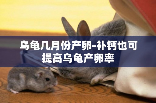 烏龜幾月份產卵-補鈣也可提高烏龜產卵率