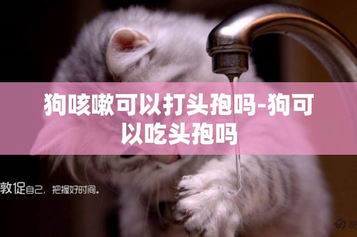 狗咳嗽可以打頭孢嗎-狗可以吃頭孢嗎