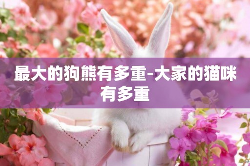 最大的狗熊有多重-大家的貓咪有多重