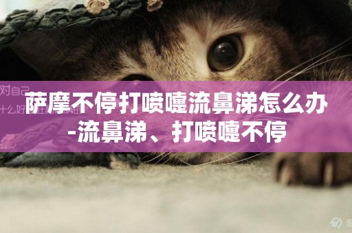 薩摩不停打噴嚏流鼻涕怎么辦-流鼻涕、打噴嚏不停