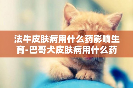 法牛皮膚病用什么藥影響生育-巴哥犬皮膚病用什么藥
