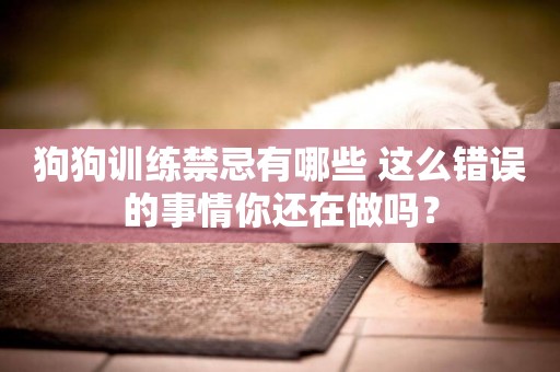狗狗訓練禁忌有哪些 這么錯誤的事情你還在做嗎？