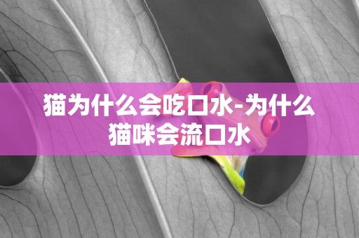 貓為什么會吃口水-為什么貓咪會流口水