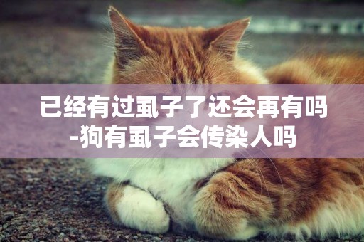 已經有過虱子了還會再有嗎-狗有虱子會傳染人嗎