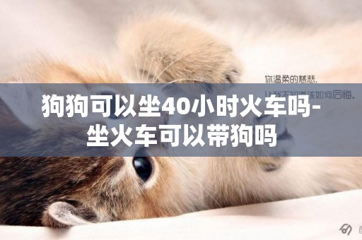 狗狗可以坐40小時火車嗎-坐火車可以帶狗嗎