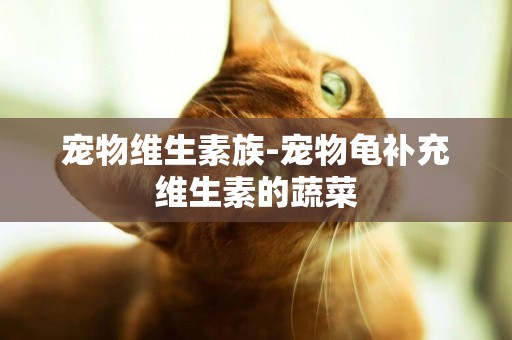 寵物維生素族-寵物龜補充維生素的蔬菜