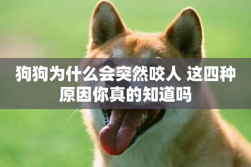 狗狗為什么會突然咬人 這四種原因你真的知道嗎 狗狗為什么會突然咬人 這四種原因你真的知道嗎
