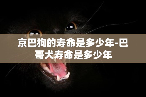 京巴狗的壽命是多少年-巴哥犬壽命是多少年