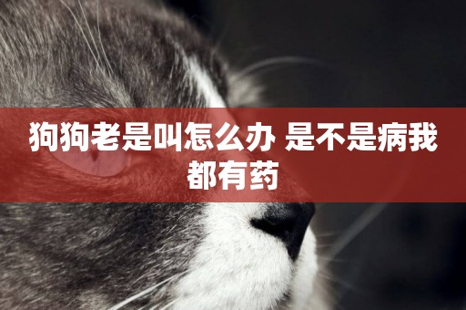 狗狗老是叫怎么辦 是不是病我都有藥