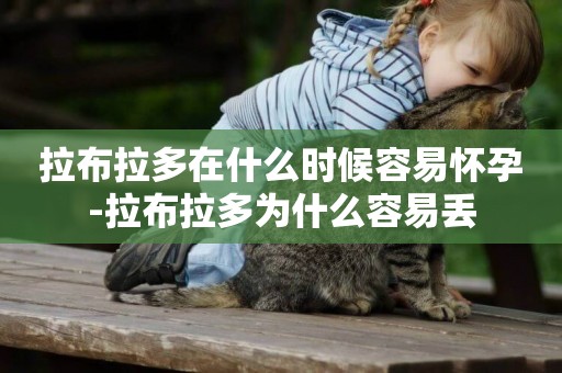 拉布拉多在什么時候容易懷孕-拉布拉多為什么容易丟