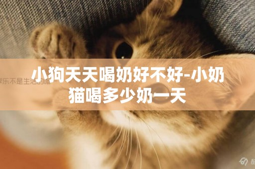 小狗天天喝奶好不好-小奶貓喝多少奶一天
