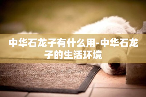 中華石龍子有什么用-中華石龍子的生活環境