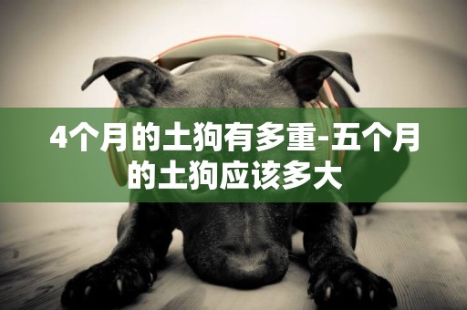 4個月的土狗有多重-五個月的土狗應該多大