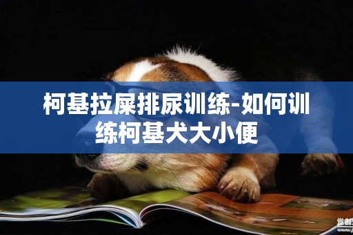 柯基拉屎排尿訓練-如何訓練柯基犬大小便
