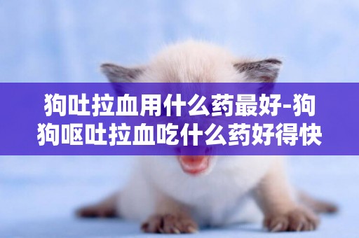 狗吐拉血用什么藥最好-狗狗嘔吐拉血吃什么藥好得快
