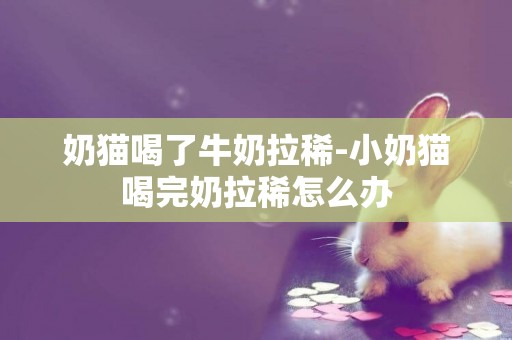 奶貓喝了牛奶拉稀-小奶貓喝完奶拉稀怎么辦