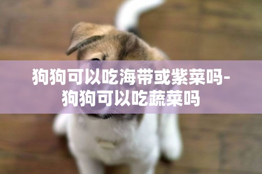 狗狗可以吃海帶或紫菜嗎-狗狗可以吃蔬菜嗎