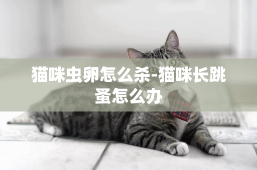 貓咪蟲卵怎么殺-貓咪長跳蚤怎么辦