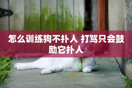 怎么訓練狗不撲人 打罵只會鼓勵它撲人