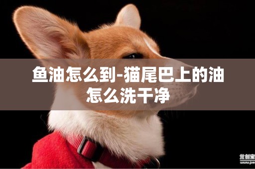 魚油怎么到-貓尾巴上的油怎么洗干凈