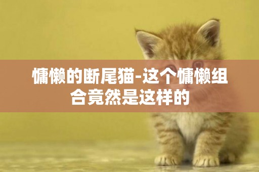 慵懶的斷尾貓-這個慵懶組合竟然是這樣的