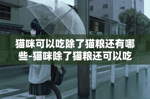 貓咪可以吃除了貓糧還有哪些-貓咪除了貓糧還可以吃什么