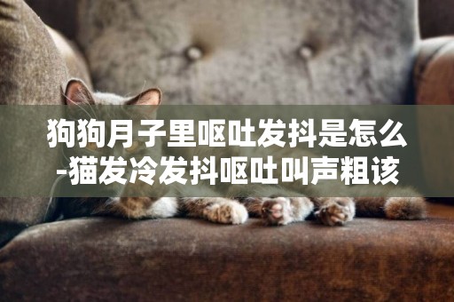 狗狗月子里嘔吐發抖是怎么-貓發冷發抖嘔吐叫聲粗該怎么治