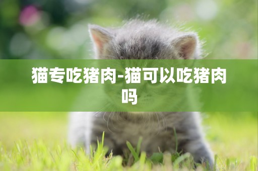 貓專吃豬肉-貓可以吃豬肉嗎