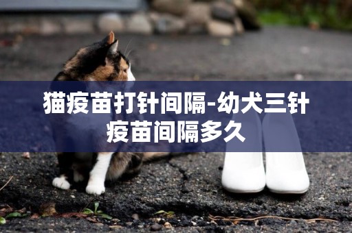 貓疫苗打針間隔-幼犬三針疫苗間隔多久