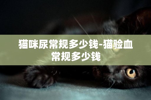 貓咪尿常規多少錢-貓驗血常規多少錢
